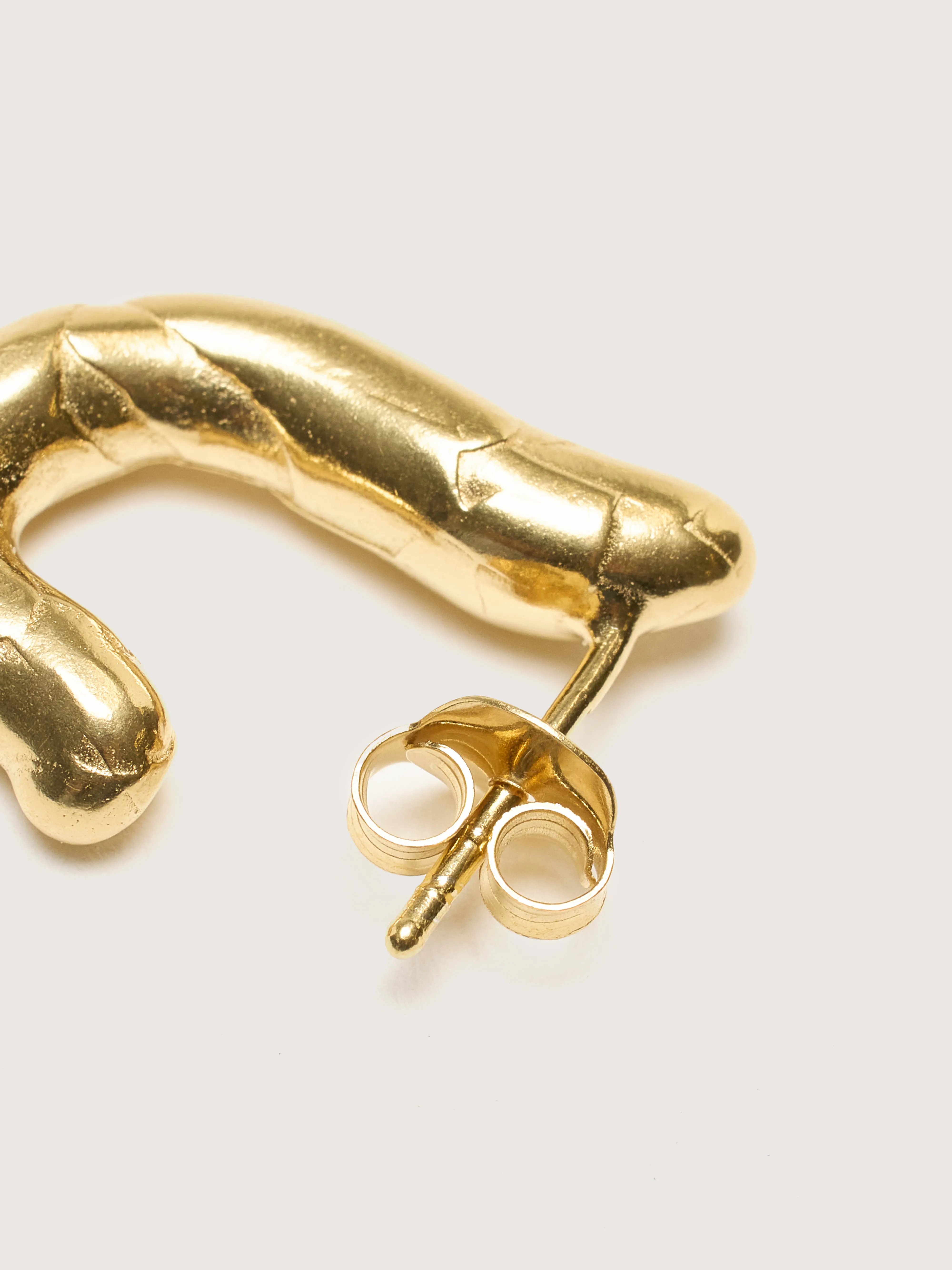 Gamba Gold Earrings (242 / W / GOLD) - Image 4